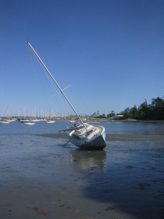 gal/2006-05-05 Careening/IMG_3153.jpg